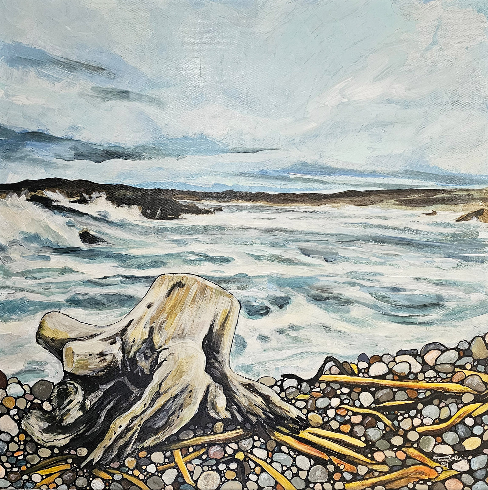 Driftwood, Cullen Beach